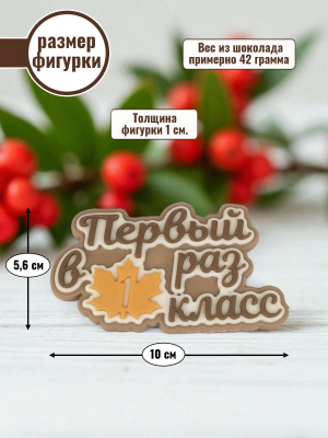 Силиконовая форма №900 "Первый раз в 1 класс"