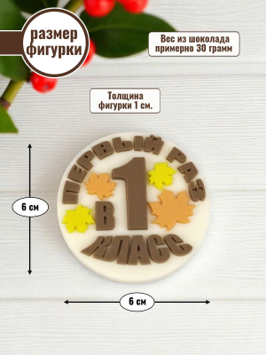 Силиконовая форма №899 "Медаль Первый раз в 1 класс"