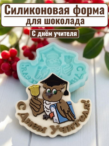 Силиконовая форма №980 "С днем учителя-сова" №3
