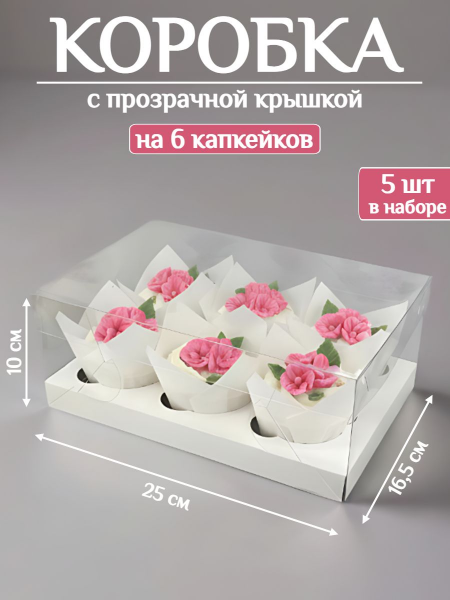 Коробка подарочная с крышкой ПЭТ 25х16,5х10см с ложементом на 6шт (5шт)