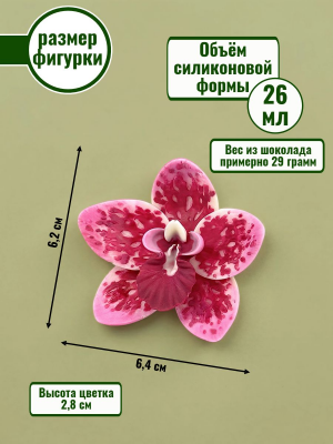 Цветок №432 «Орхидея»