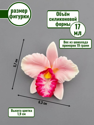 Цветок №433 «Орхидея Каттлея» Цветок №433 «Орхидея Каттлея»